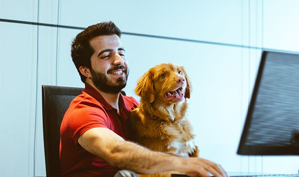 Mann sitzt mit Hund entspannt vor einem Computer